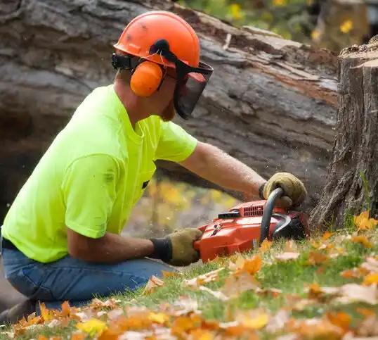 tree services Valhalla